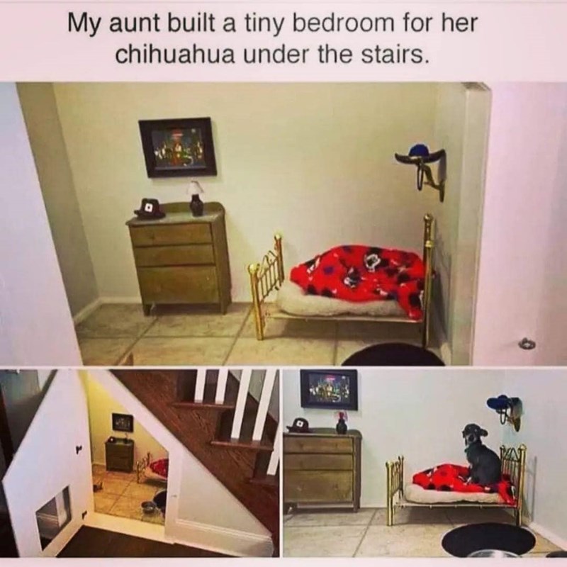My aunt built a tiny bedroom for her chihuahua under the stairs.