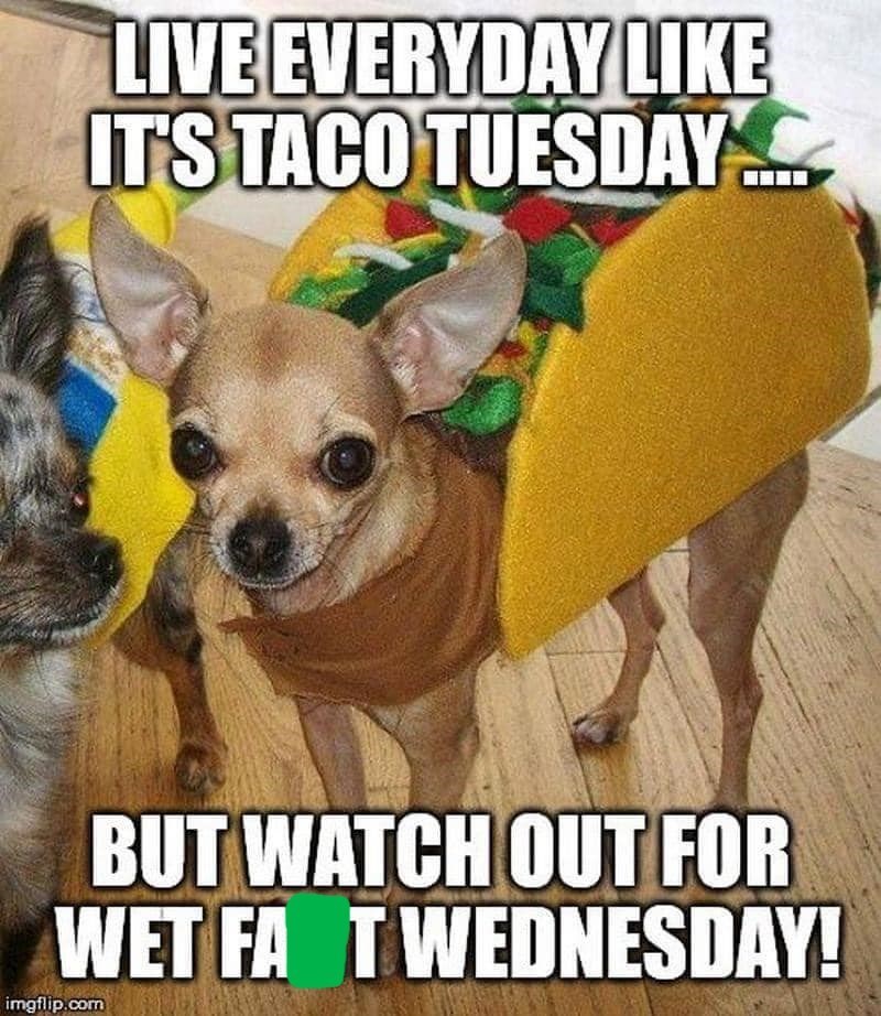 LIVE EVERYDAY LIKE IT'S TACO TUESDAY... BUT WATCH OUT FOR WET FAT WEDNESDAY! imgflip.com