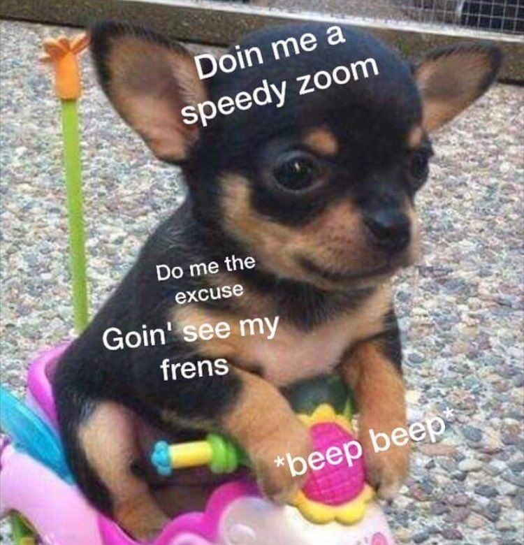 Doin me a speedy zoom Do me the excuse Goin' see my frens *beep beep