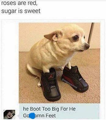 roses are red, sugar is sweet Eveganoverford he Boot Too Big For He Go amn Feet