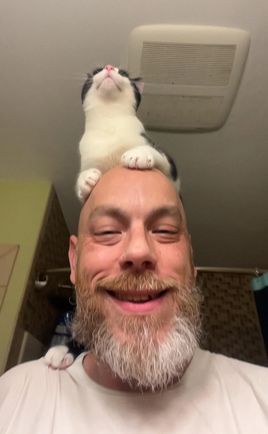 Cheezburger Image 10621194240