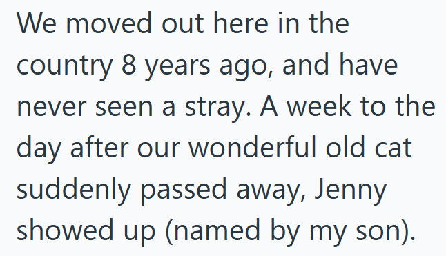 We moved out here in the country 8 years ago, and have never seen a stray. A week to the day after our wonderful old cat suddenly passed away, Jenny showed up (named by my son).