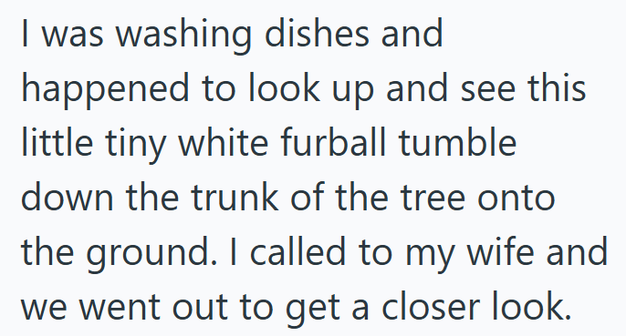 I was washing dishes and happened to look up and see this little tiny white furball tumble down the trunk of the tree onto the ground. I called to my wife and we went out to get a closer look.