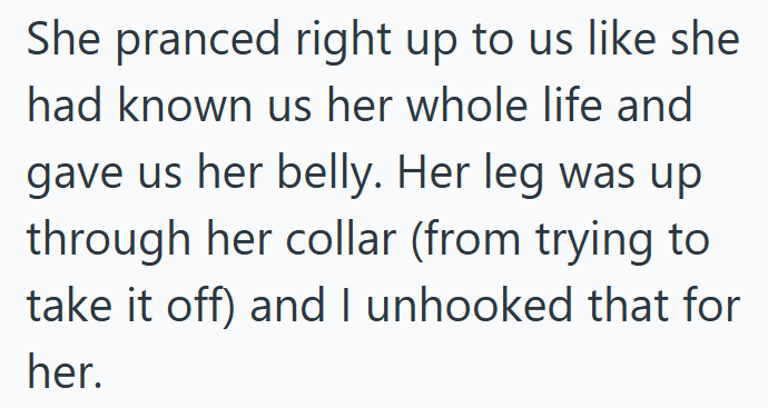 She pranced right up to us like she had known us her whole life and gave us her belly. Her leg was up through her collar (from trying to take it off) and I unhooked that for her.