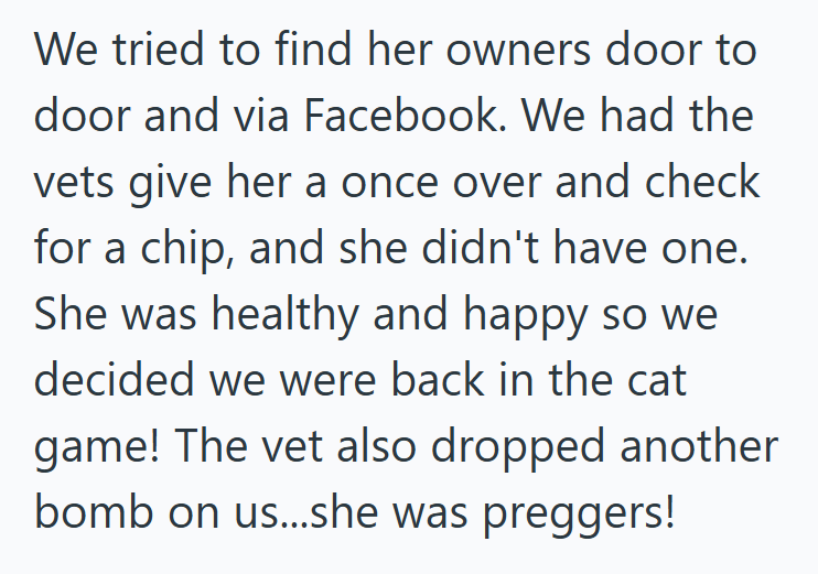 We tried to find her owners door to door and via Facebook. We had the vets give her a once over and check for a chip, and she didn't have one. She was healthy and happy so we decided we were back in the cat game! The vet also dropped another bomb on us...she was preggers!