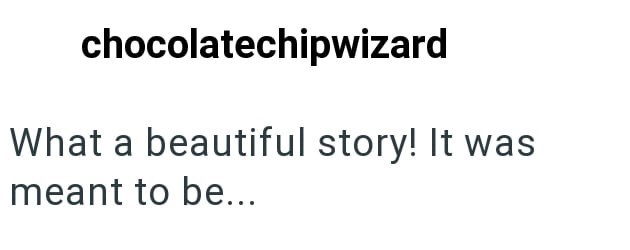 chocolatechipwizard What a beautiful story! It was meant to be...