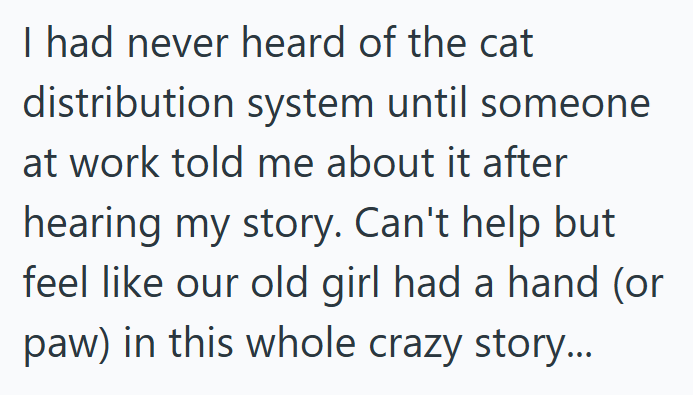 I had never heard of the cat distribution system until someone at work told me about it after hearing my story. Can't help but feel like our old girl had a hand (or paw) in this whole crazy story...