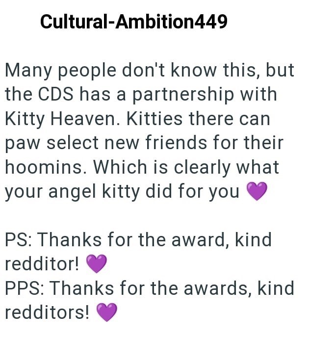 Cultural-Ambition449 Many people don't know this, but the CDS has a partnership with Kitty Heaven. Kitties there can paw select new friends for their hoomins. Which is clearly what your angel kitty did for you PS: Thanks for the award, kind redditor! PPS: Thanks for the awards, kind redditors!