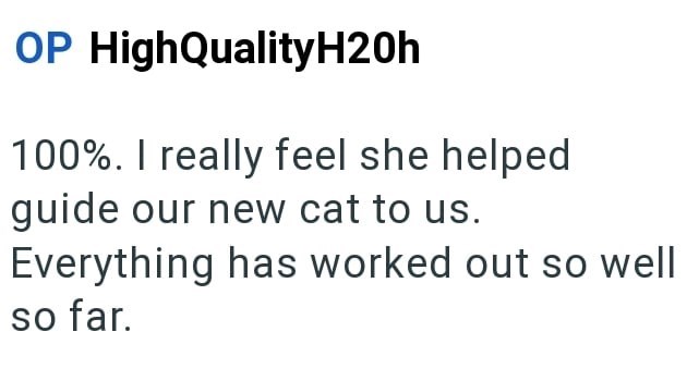 OP HighQualityH20h 100%. I really feel she helped guide our new cat to us. Everything has worked out so well so far.