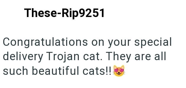 These-Rip9251 Congratulations on your special delivery Trojan cat. They are all such beautiful cats!!!