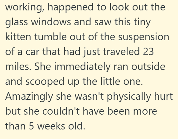 working, happened to look out the glass windows and saw this tiny. kitten tumble out of the suspension of a car that had just traveled 23 miles. She immediately ran outside and scooped up the little one. Amazingly she wasn't physically hurt but she couldn't have been more than 5 weeks old.