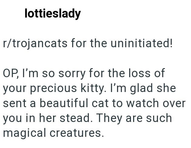 lottieslady r/trojancats for the uninitiated! OP, I'm so sorry for the loss of your precious kitty. I'm glad she sent a beautiful cat to watch over you in her stead. They are such magical creatures.