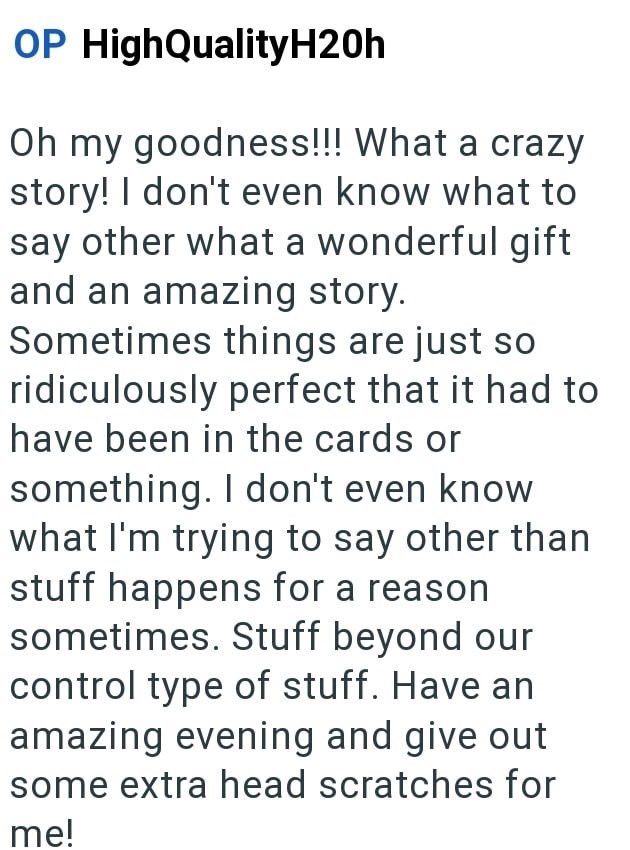 OP HighQualityH20h Oh my goodness!!! What a crazy story! I don't even know what to say other what a wonderful gift and an amazing story. Sometimes things are just so ridiculously perfect that it had to have been in the cards or something. I don't even know what I'm trying to say other than stuff happens for a reason sometimes. Stuff beyond our control type of stuff. Have an amazing evening and give out some extra head scratches for me!