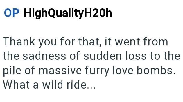 OP High QualityH20h Thank you for that, it went from the sadness of sudden loss to the pile of massive furry love bombs. What a wild ride...