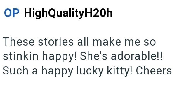OP High QualityH20h These stories all make me so stinkin happy! She's adorable!! Such a happy lucky kitty! Cheers