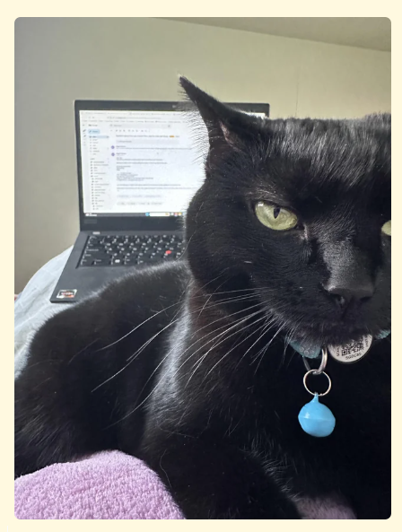 Cheezburger Image 10621202688