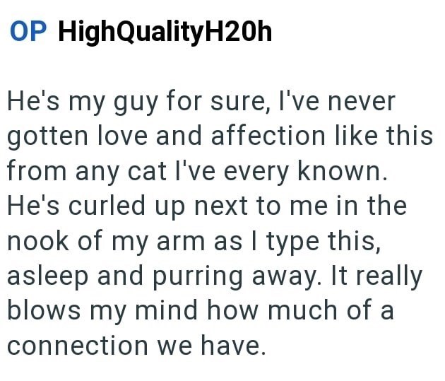 OP HighQualityH20h He's my guy for sure, I've never gotten love and affection like this from any cat I've every known. He's curled up next to me in the nook of my arm as I type this, asleep and purring away. It really blows my mind how much of a connection we have.