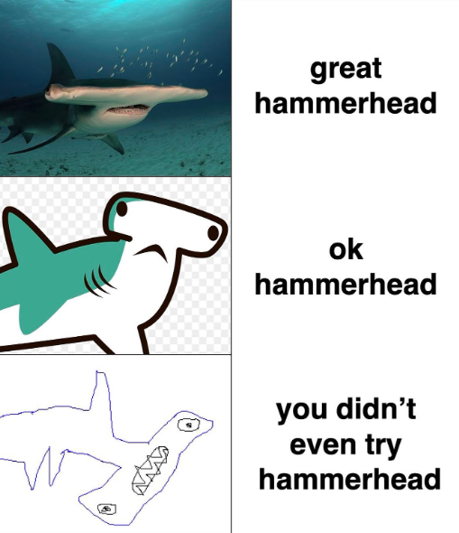 great hammerhead ok hammerhead you didn't even try hammerhead