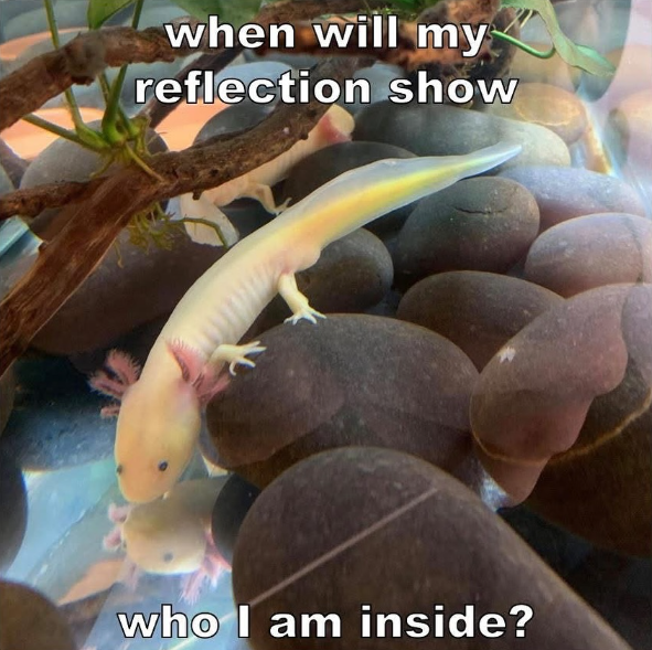when will my reflection show who I am inside?