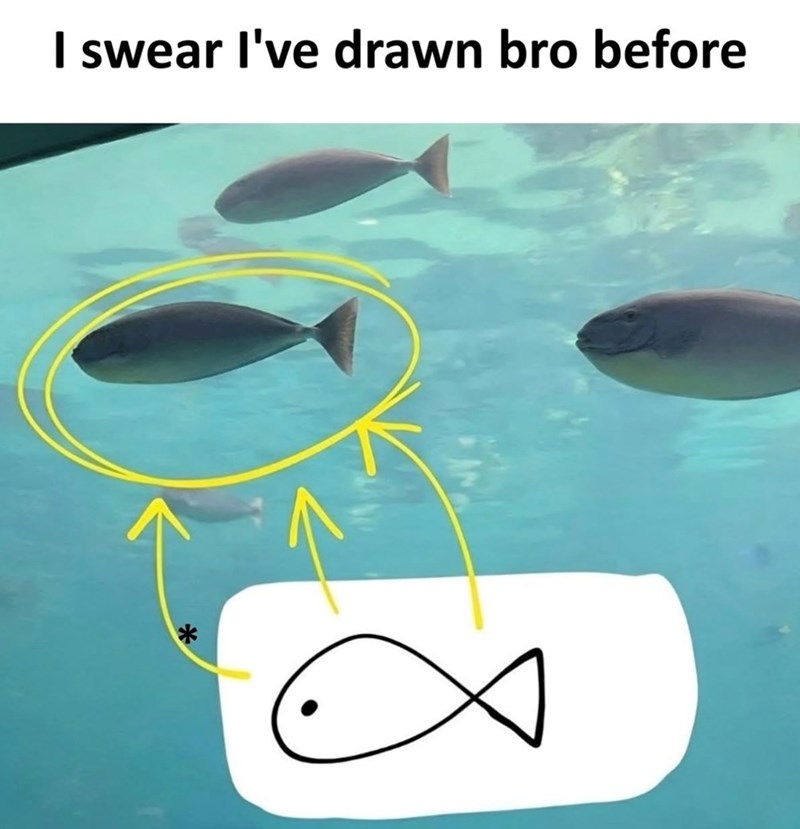I swear I've drawn bro before