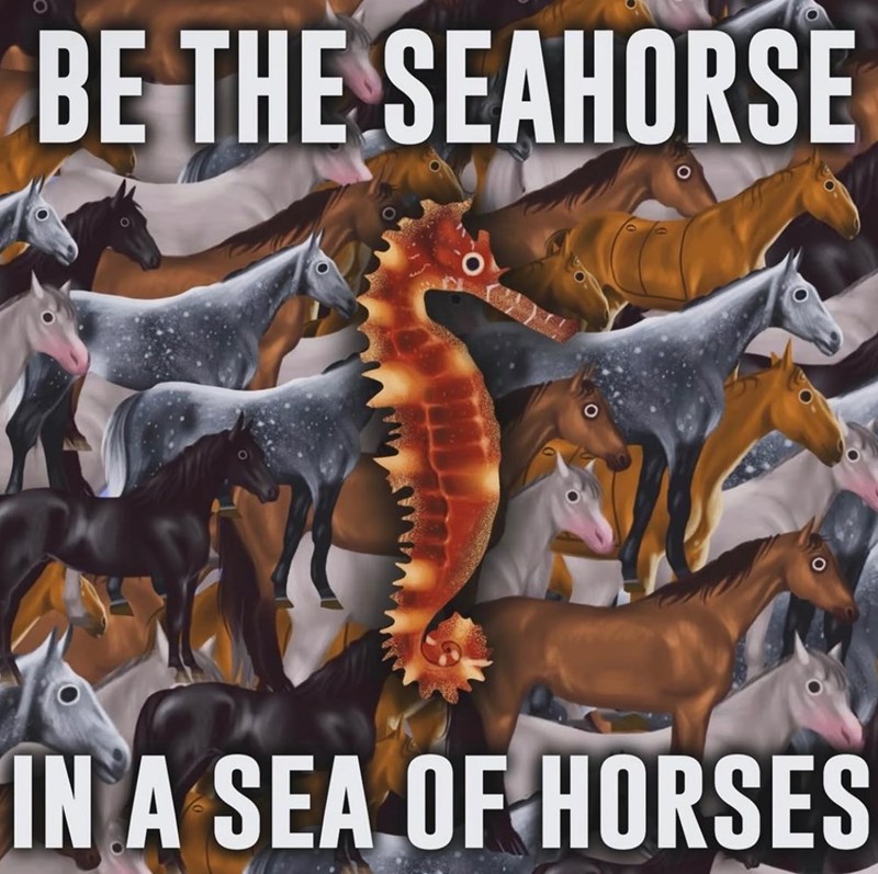 BE THE SEAHORSE 0 IN A SEA OF HORSES