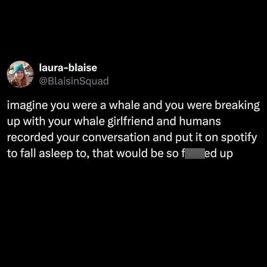 laura-blaise @BlaisinSquad imagine you were a whale and you were breaking up with your whale girlfriend and humans recorded your conversation and put it on spotify to fall asleep to, that would be so f ed up