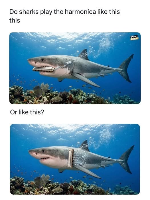 Do sharks play the harmonica like this this Or like this? PUN