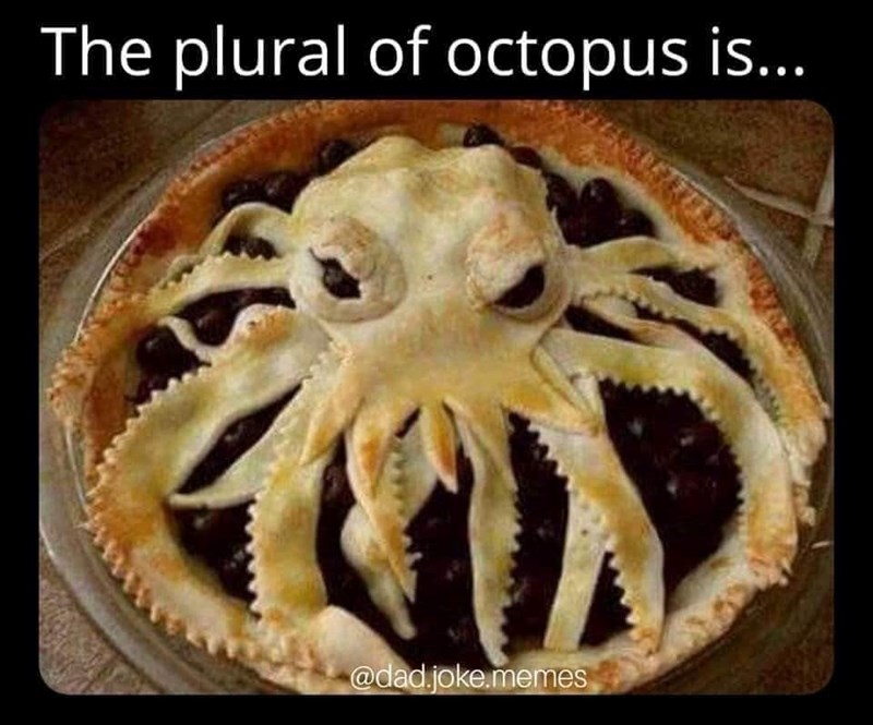 The plural of octopus is... @dad.joke.memes