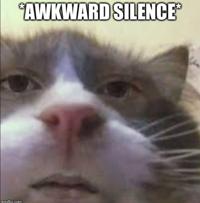 imgflip.com "AWKWARD SILENCE®