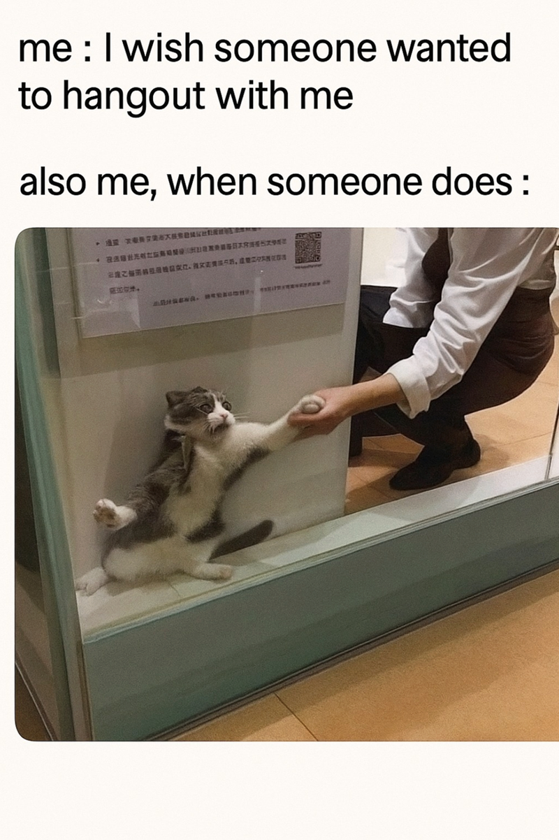 me: I wish someone wanted to hangout with me also me, when someone does: RABRENCE D., 収録。 ARVIDENS. BEREN AN