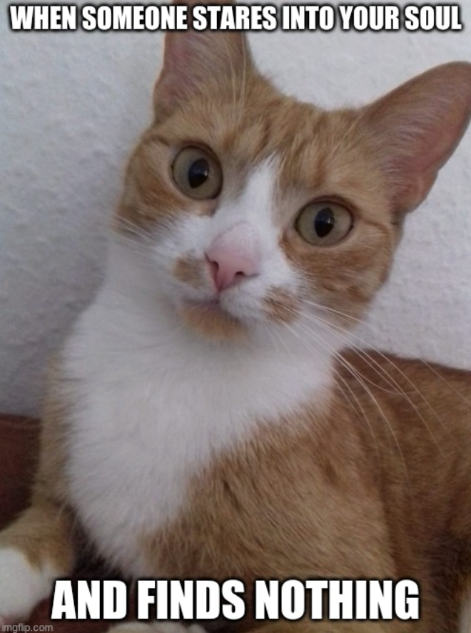 WHEN SOMEONE STARES INTO YOUR SOUL imgflip.com AND FINDS NOTHING