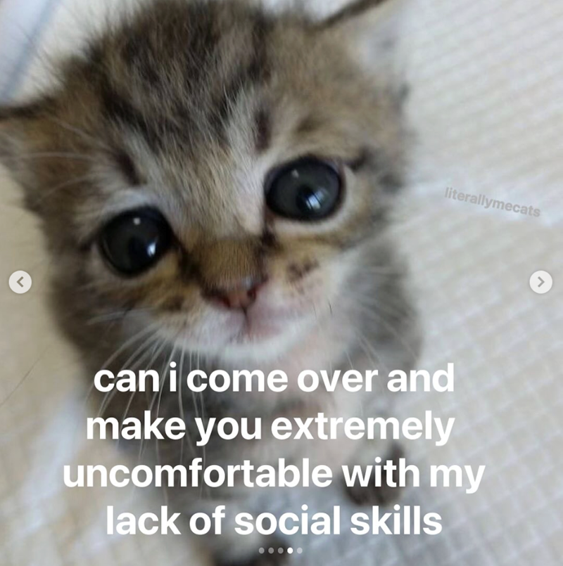 < literallymecats can i come over and make you extremely uncomfortable with my lack of social skills