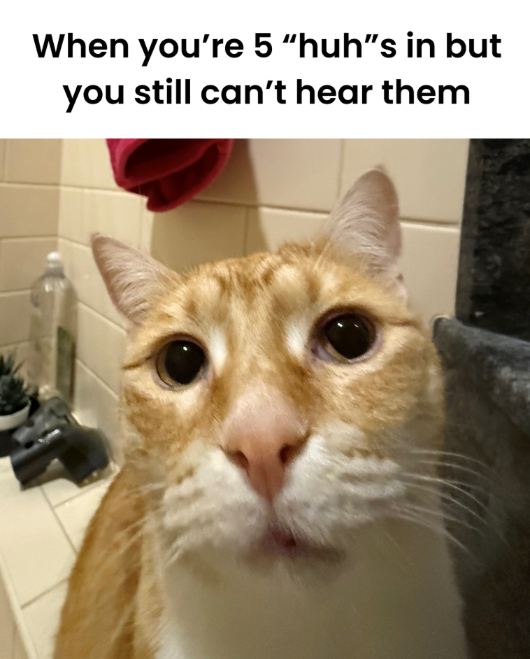 When you're 5 "huh"s in but you still can't hear them
