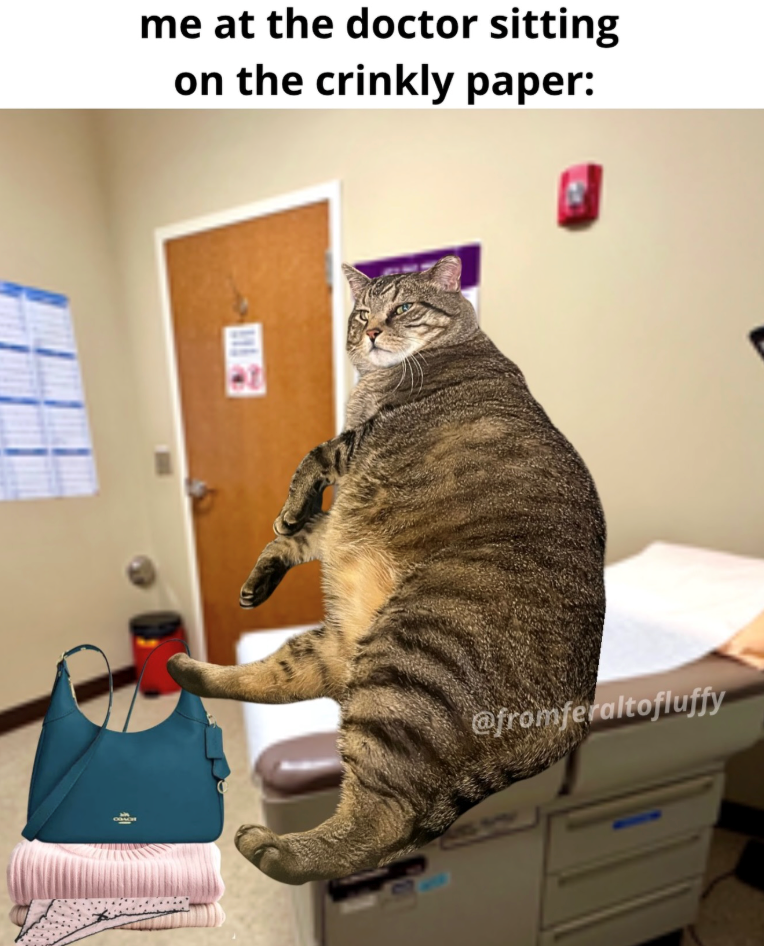 me at the doctor sitting on the crinkly paper: @fromferaltofluffy