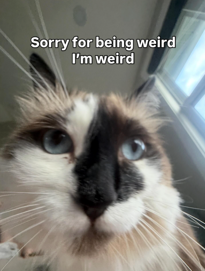 Sorry for being weird I'm weird