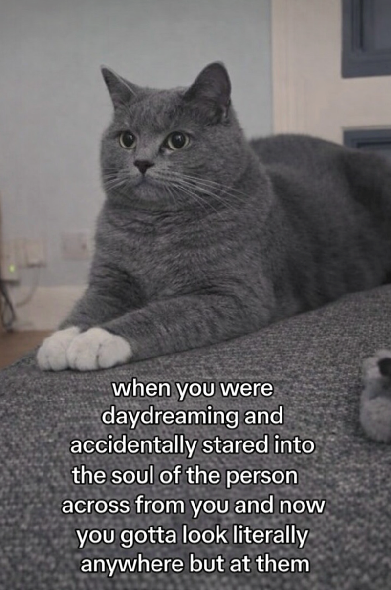 when you were daydreaming and accidentally stared into the soul of the person across from you and now you gotta look literally anywhere but at them