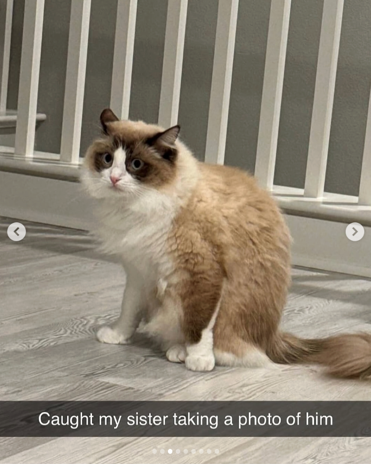 < Caught my sister taking a photo of him >