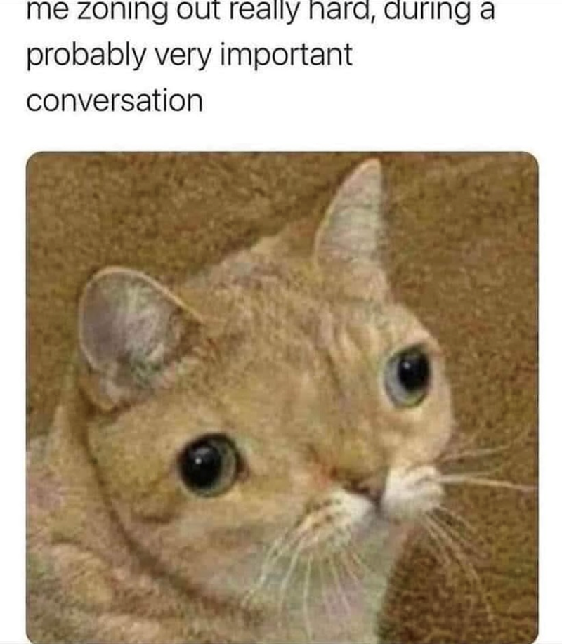 me zoning out really hard, during a probably very important conversation