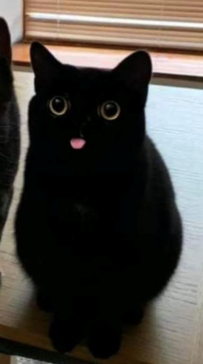 Cheezburger Image 10621217024