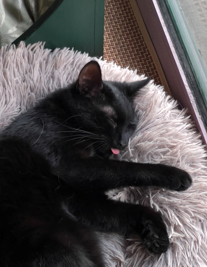 Cheezburger Image 10621220352