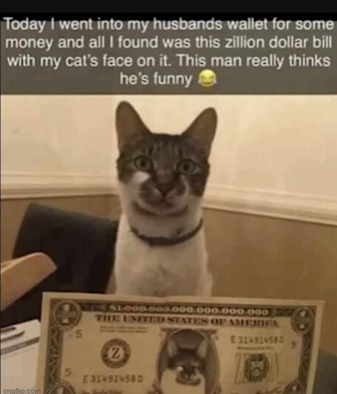 Today I went into my husbands wallet for some money and all I found was this zillion dollar bill with my cat's face on it. This man really thinks he's funny $1.000.000.000.000.000.000 THE UNITED STATES OF AMERICA, 2BROWN 5 Z 5 imgflip.com E 31491458D E 314914580 5