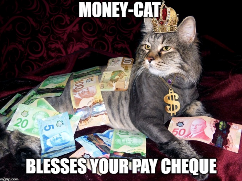 20 MONEY-CAT 100 15 10 100 100 NAGA €9 50 50 mgflip.com BLESSES YOUR PAY CHEQUE