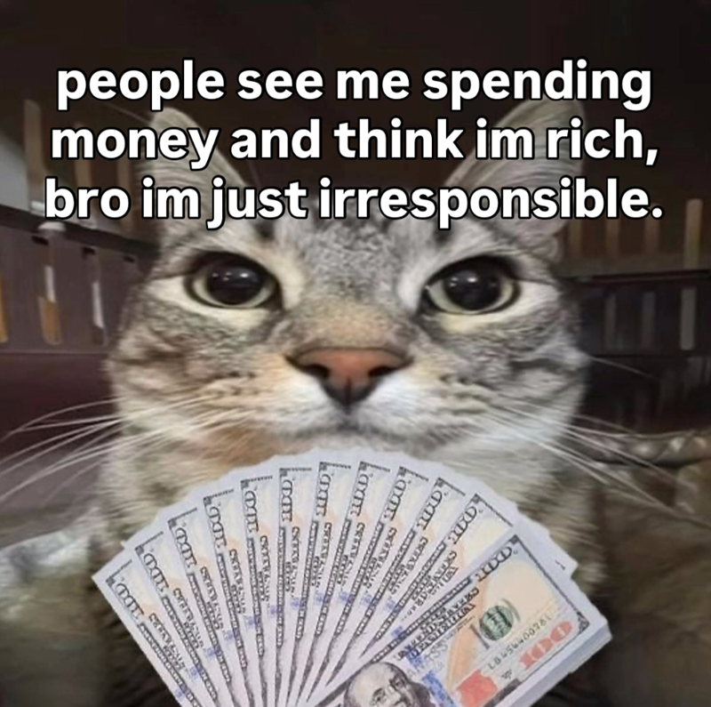 people see me spending money and think im rich, bro im just irresponsible. EXTE DXD CRICKATAL CANAS L6454400781 100