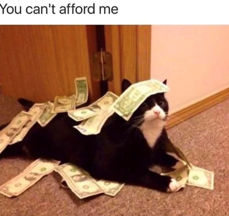You can't afford me C