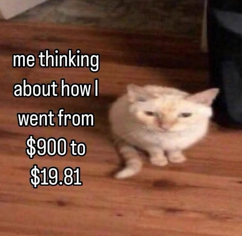 me thinking about how I went from $900 to $19.81