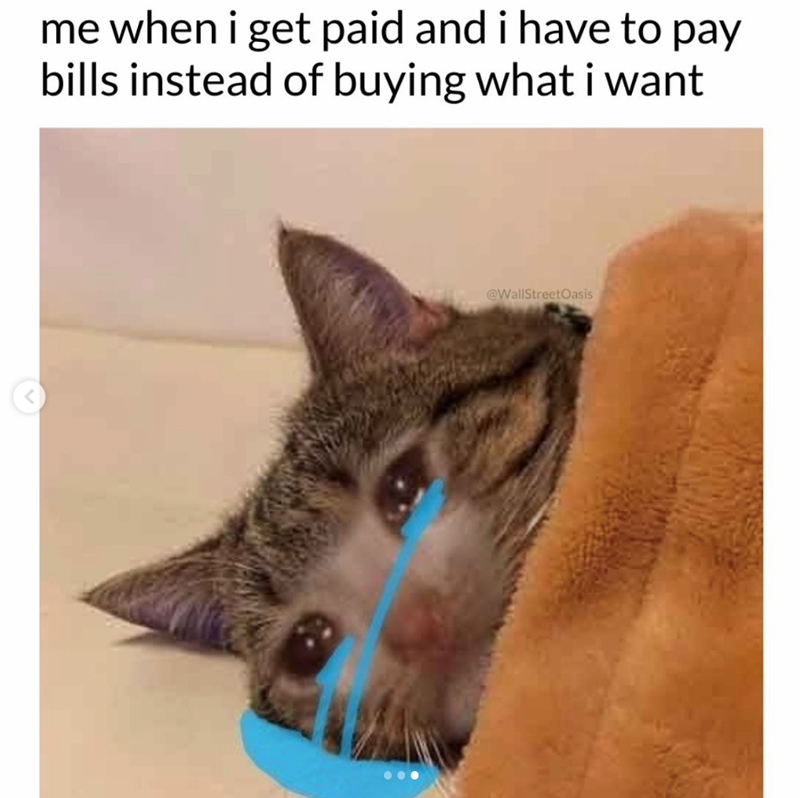 me when i get paid and i have to pay bills instead of buying what i want L @WallStreetOasis