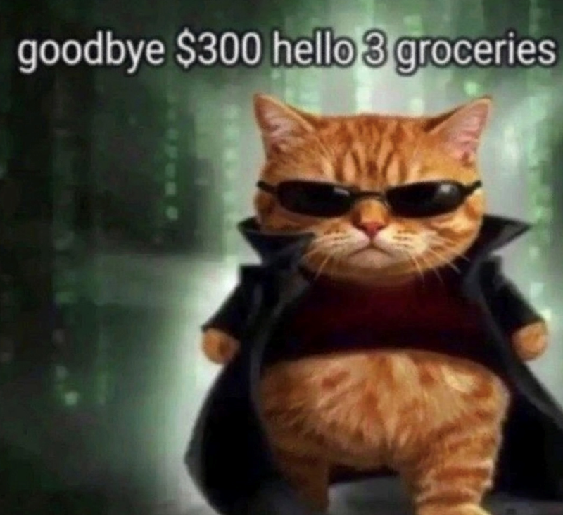 goodbye $300 hello 3 groceries