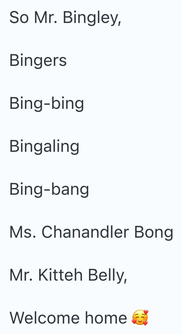 So Mr. Bingley, Bingers Bing-bing Bingaling Bing-bang Ms. Chanandler Bong Mr. Kitteh Belly, Welcome home