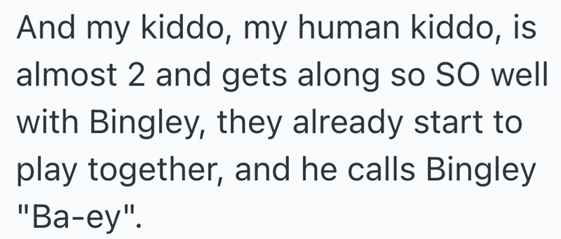 And my kiddo, my human kiddo, is almost 2 and gets along so SO well with Bingley, they already start to play together, and he calls Bingley "Ba-ey".