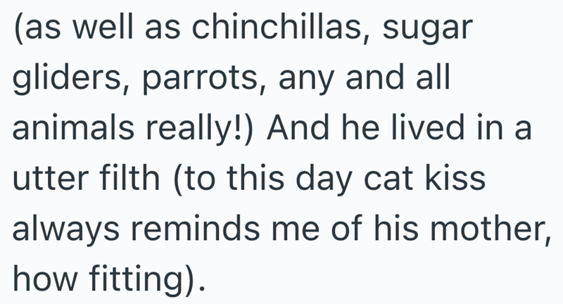 (as well as chinchillas, sugar gliders, parrots, any and all animals really!) And he lived in a utter filth (to this day cat kiss always reminds me of his mother, how fitting).